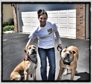 Brookeville MD Dog Trainers